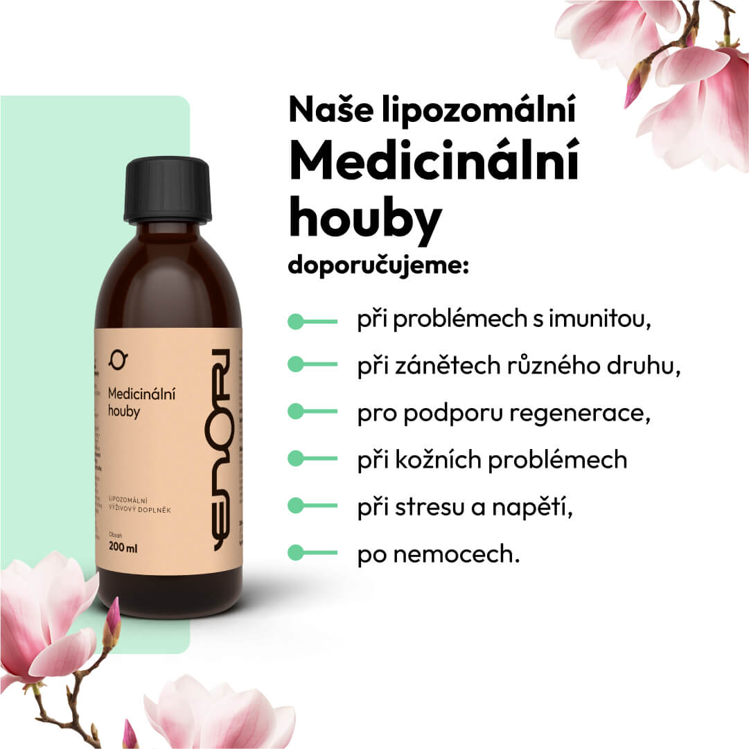 Medicinální houby